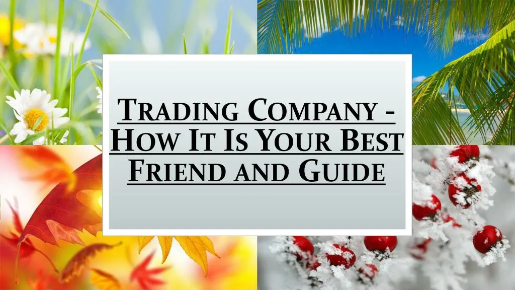 trading company how it is your best friend and guide