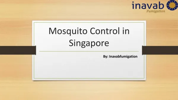 Find the Mosquito Control Treatment in Singapore