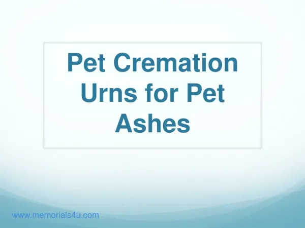 Pet Urns for Ashes - Memorials4u