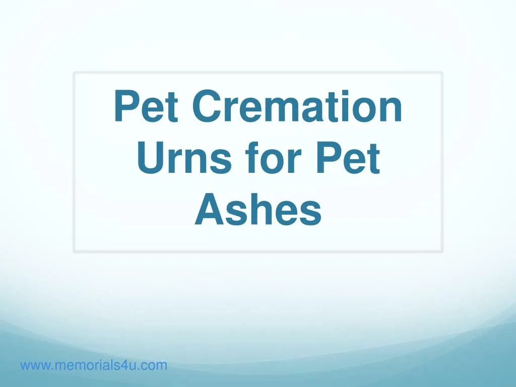 pet cremation urns for pet ashes