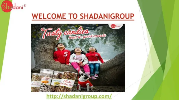 Your Candy Online Shop with Shadanigroup.com