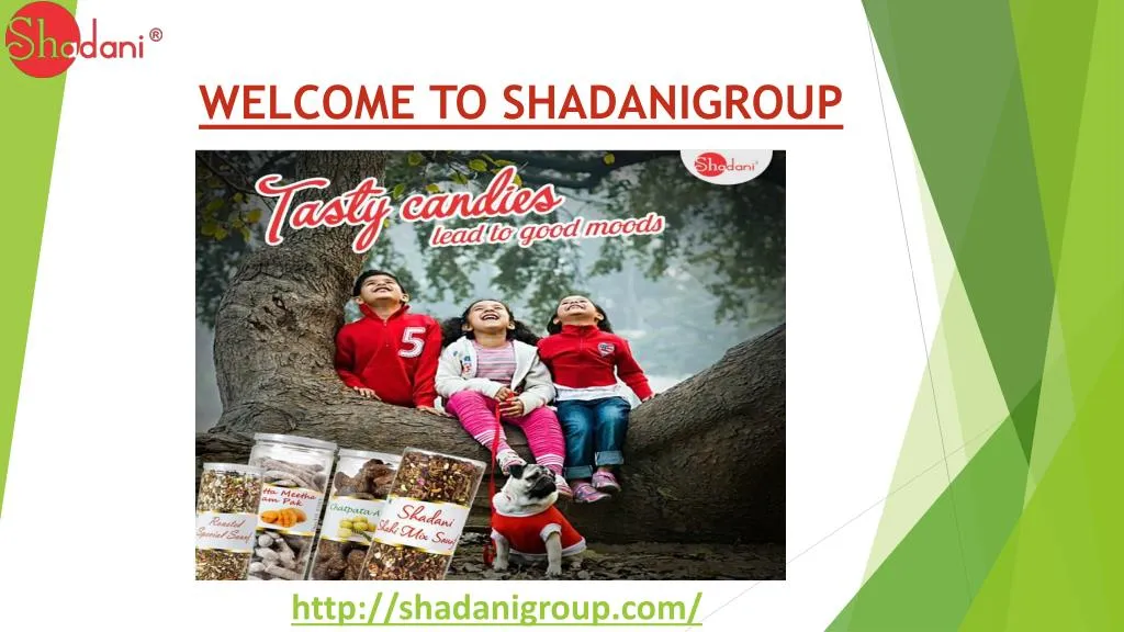 welcome to shadanigroup