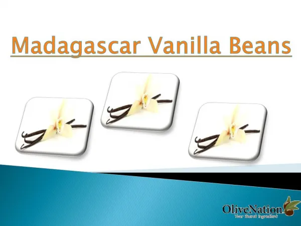 vanilla Beans Online