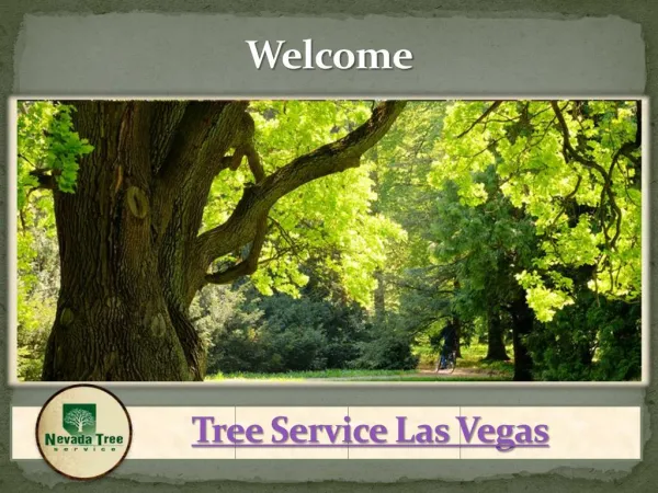 Tree Service Las Vegas