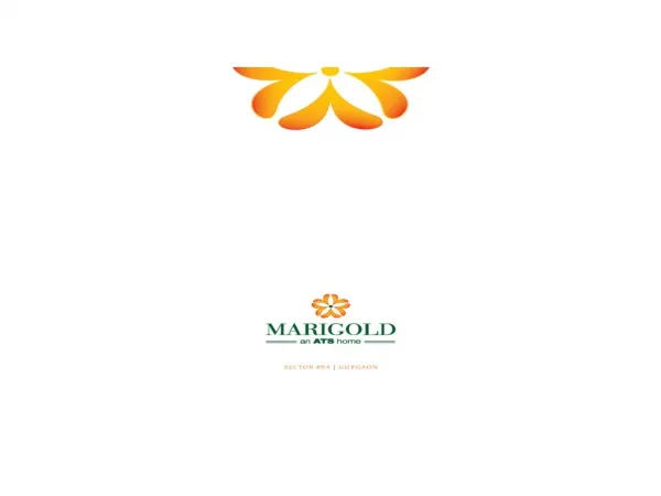 ATS Marigold New Launch Residential Project in Gurgaon