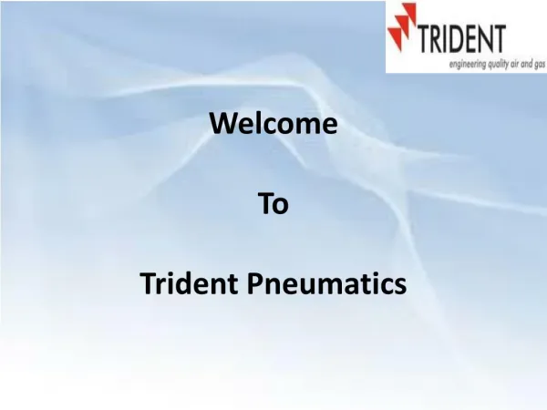 Nitrogen Gas Generator Manufacturers | Trident Pneumatics