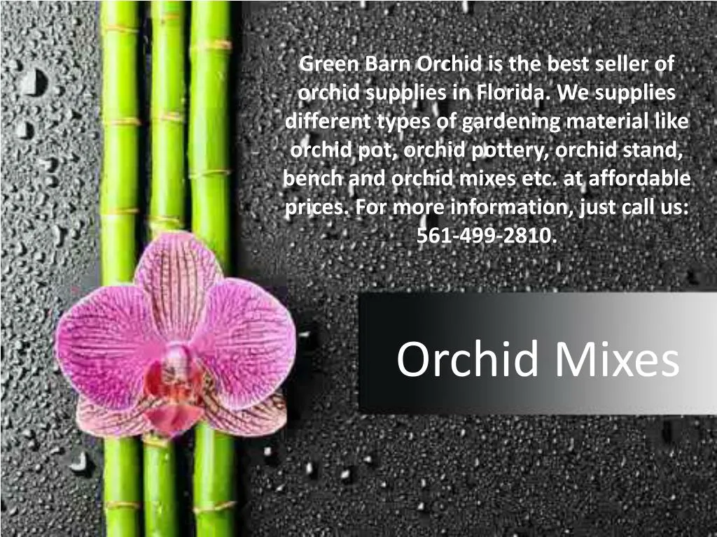 green barn orchid is the best seller of orchid