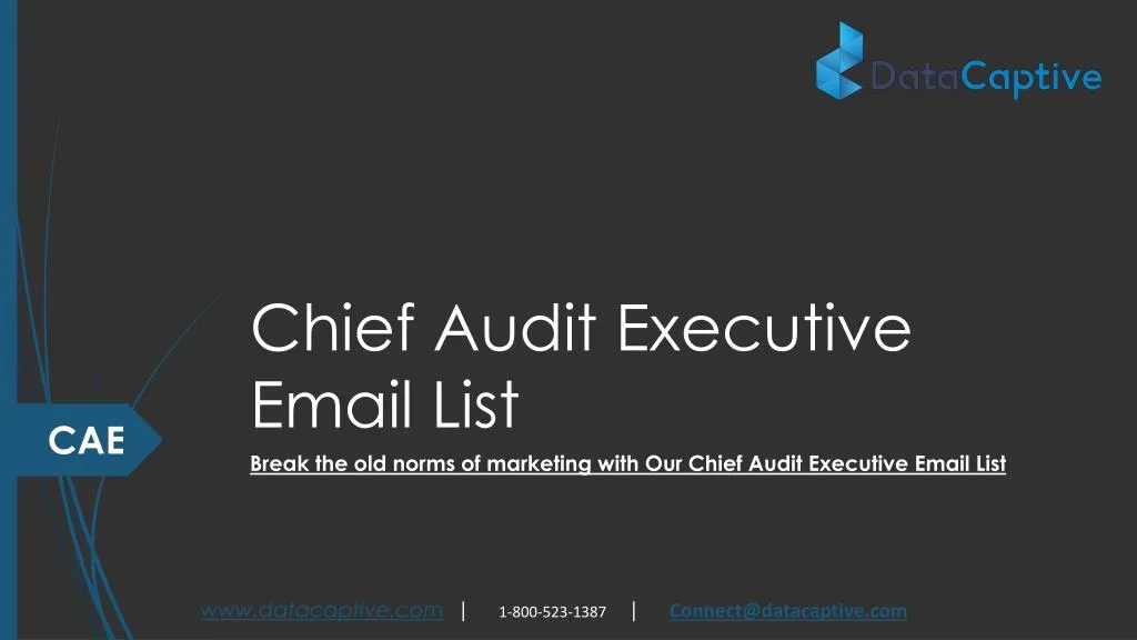 chief audit executive email list