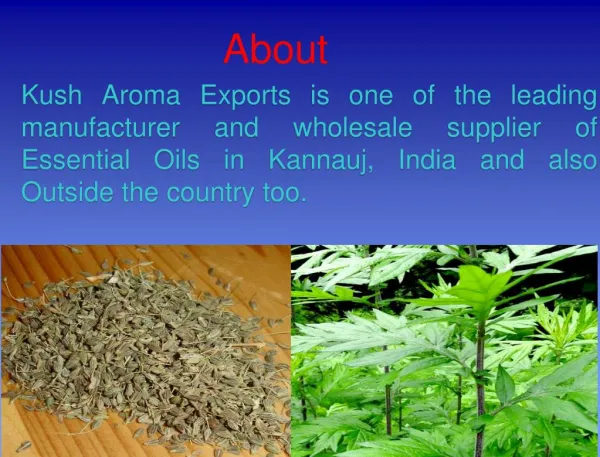 100% Pure Floral Absolutes From Kannauj, India
