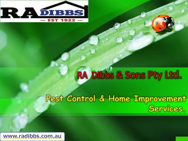 Pest control & Home Improvement Services RA Dibbs