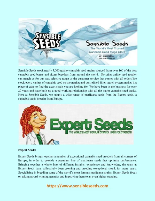 Expert Seeds - Sensible Seeds