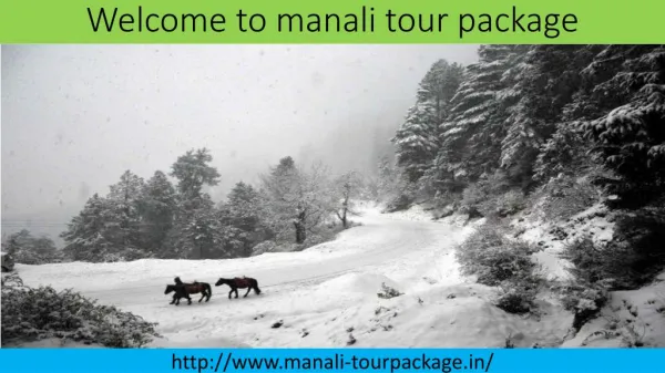 kings holiday tours- Manali Tour Package