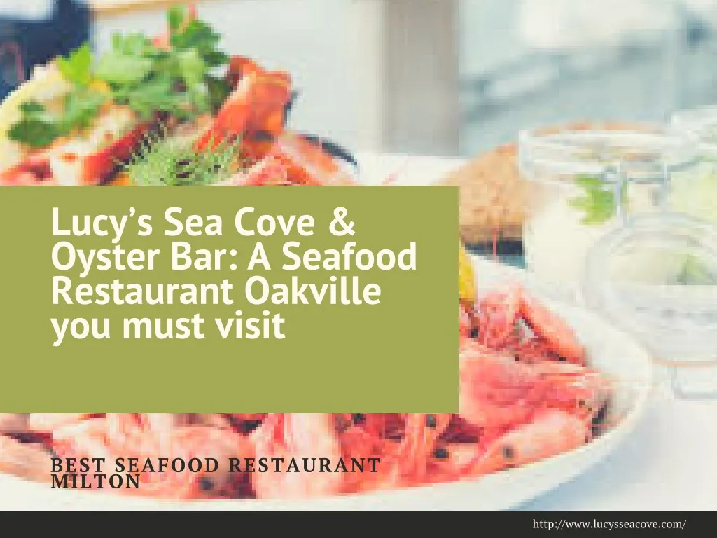 lucy s sea cove oyster bar a seafood restaurant