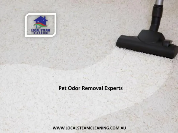 Pet Odor Removal Experts