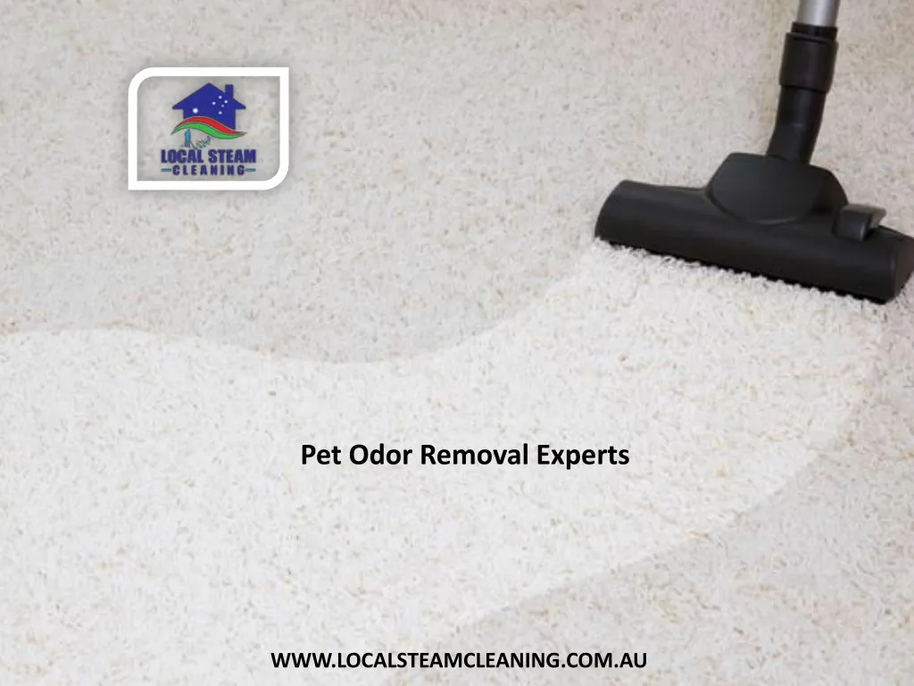 pet odor removal experts