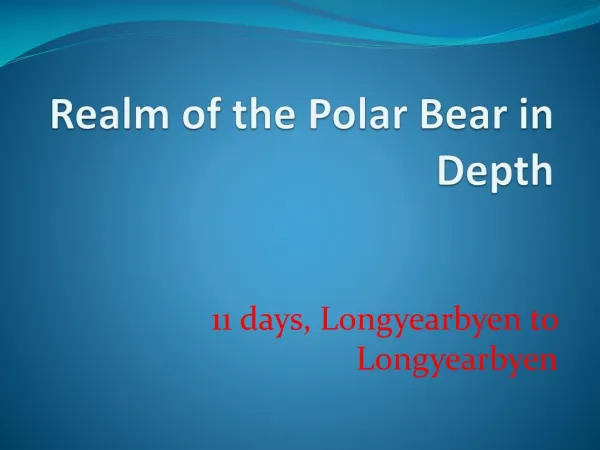 Realm of the Polar Bear in Depth-Brave Women Travel