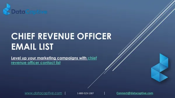 Chief Revenue Officer Mailing List