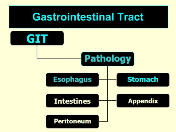 Gastrointestinal Tract