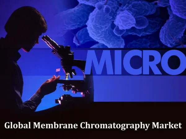 Global Membrane Chromatography Market, Forecast to 2022