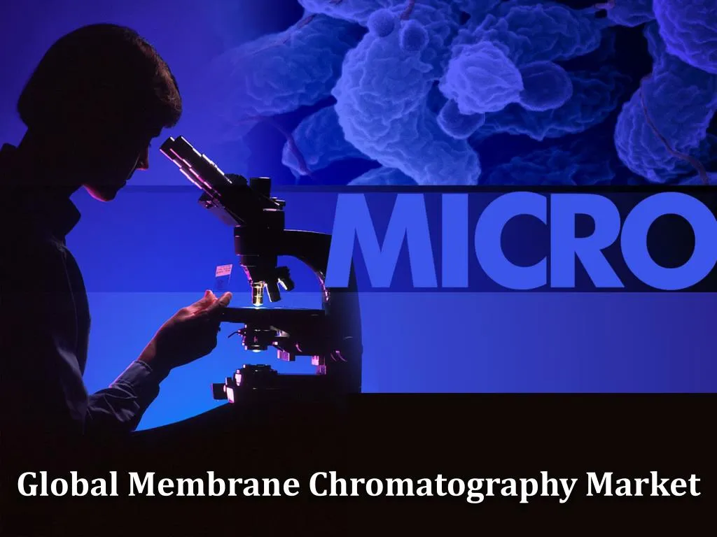 global membrane chromatography market