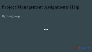Project Management Assignment Help - slide 1
