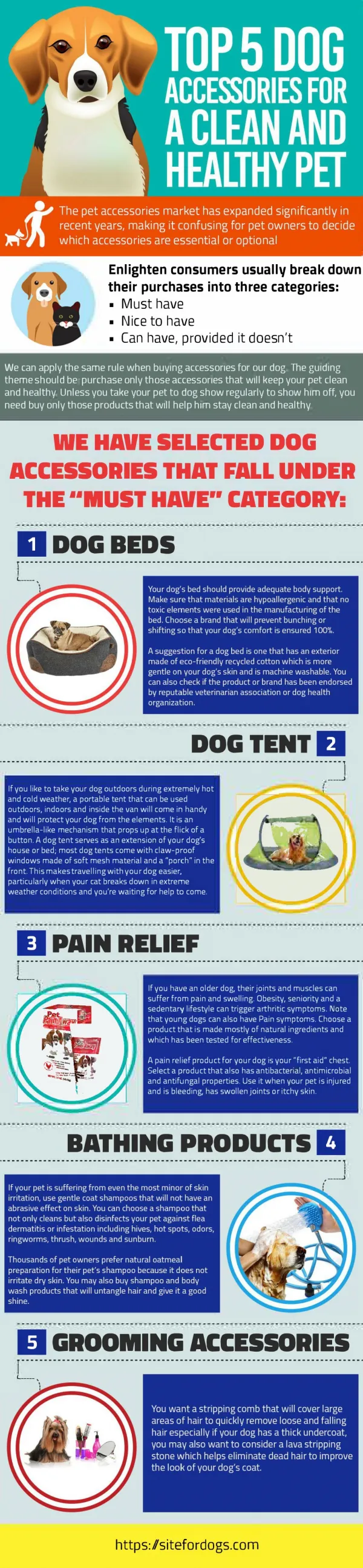 Top 5 Dog Accessories for a Clean and Healthy Pet