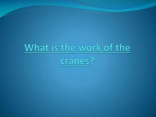 What is the work of the cranes?