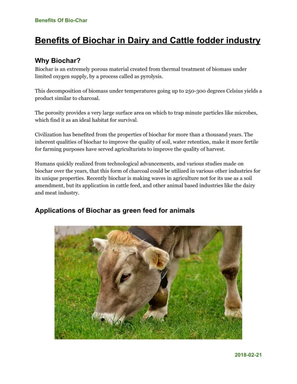 Benefits of Bio-char in cattle industry