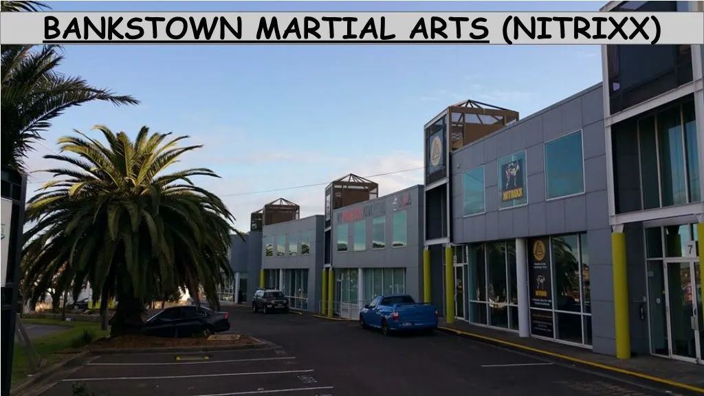 bankstown martial arts nitrixx