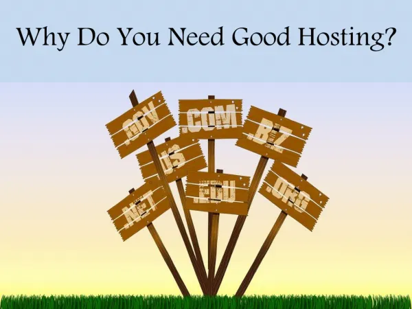 Why Do You Need Good Hosting?