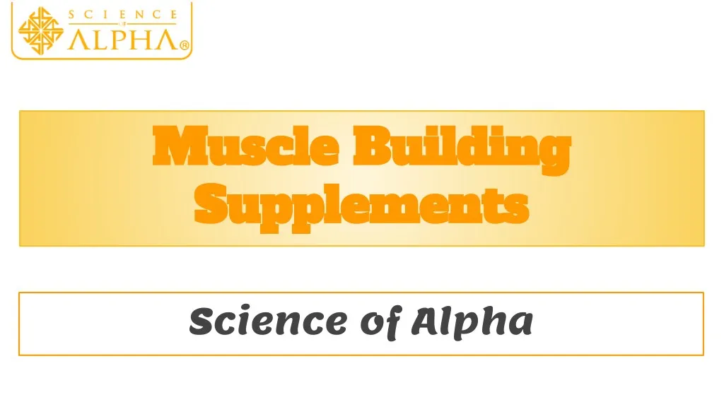 muscle building muscle building supplements