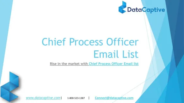 Email Address List Of Chief Process Officer