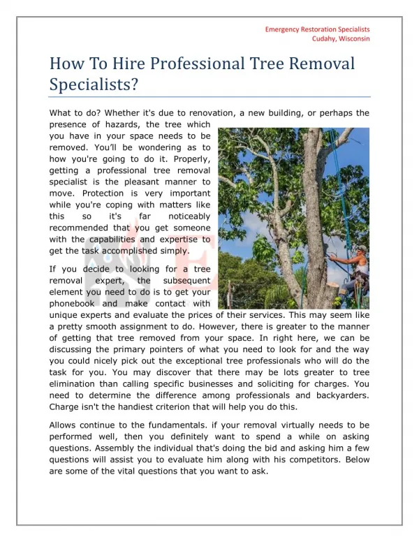 Hire A Professional Tree Removal Specialists