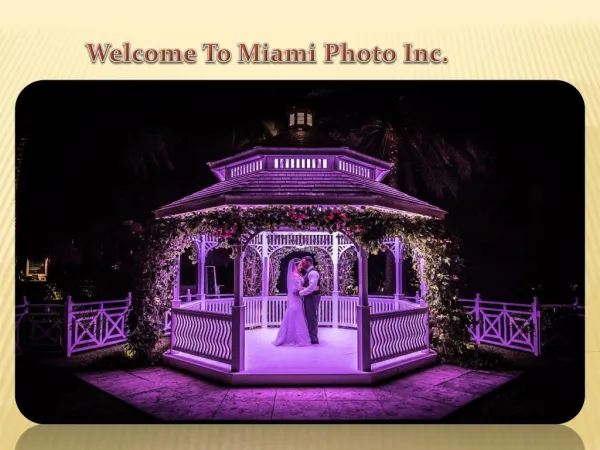 Role of Professional Wedding Photographers Miami