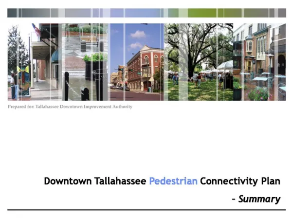 Downtown Tallahassee Pedestrian Connectivity Plan Summary