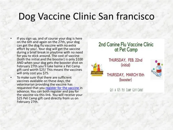 Dog Vaccine San Francisco- Pet Camp