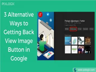 3 Alternative Ways To Get Back Google View Image Button - slide 1
