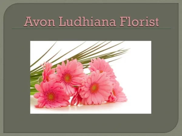 Send Gifts to Ludhiana