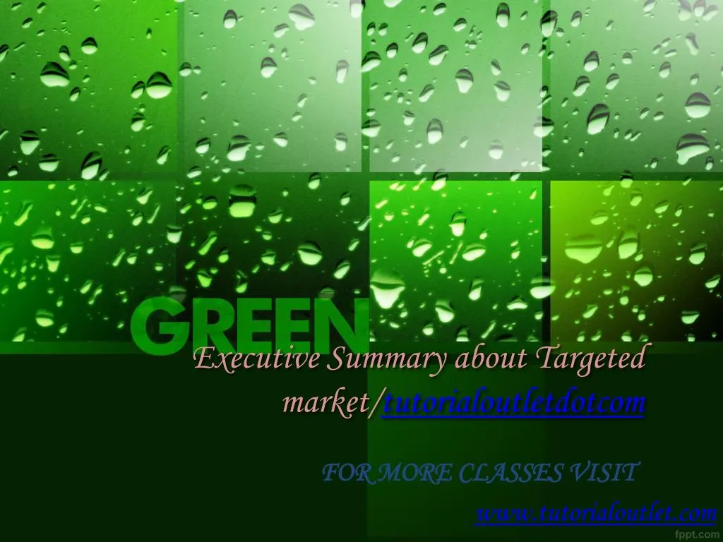 executive summary about targeted market tutorialoutletdotcom