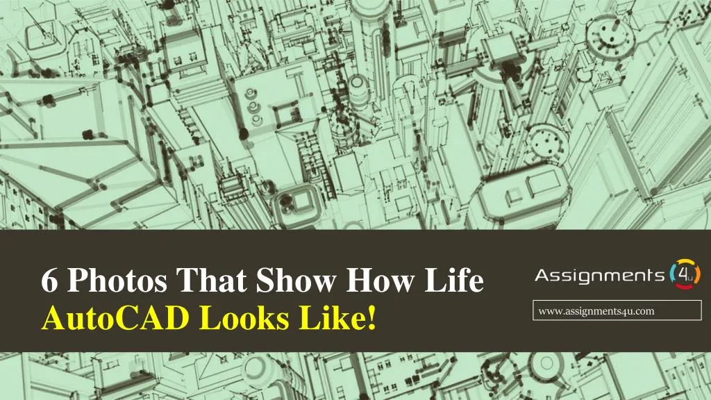 6 photos that show how life autocad looks like