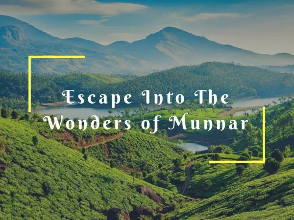 Escape Into The Wonders of Munnar