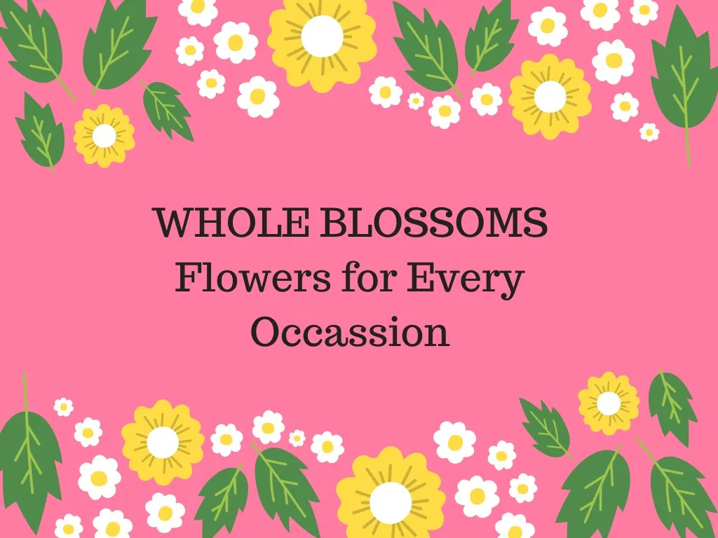 whole blossoms flowers for every occassion