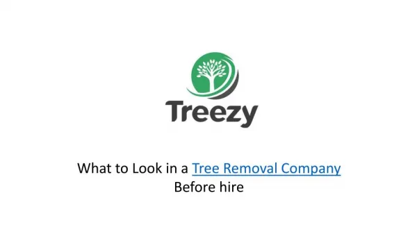 What to look in a Tree Removal Company before Hire