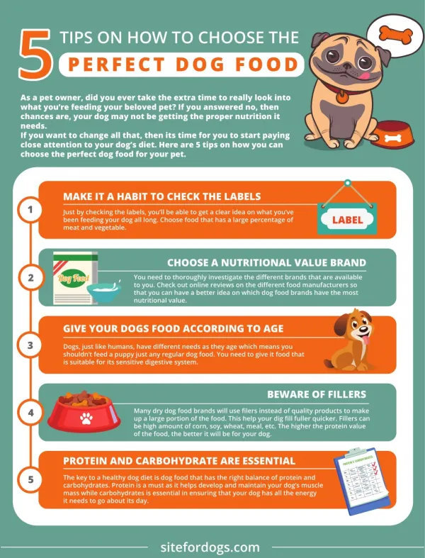 Top 5 Tips on How to Choose the Perfect Dog Food
