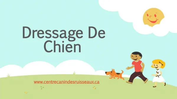 dressage de chien