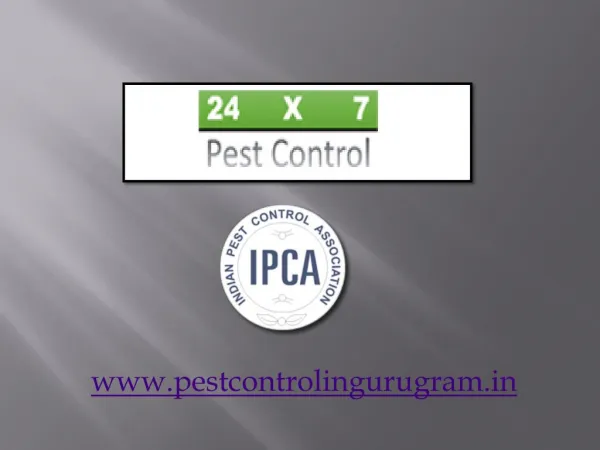 Choose Best Pest Control in Gurgaon