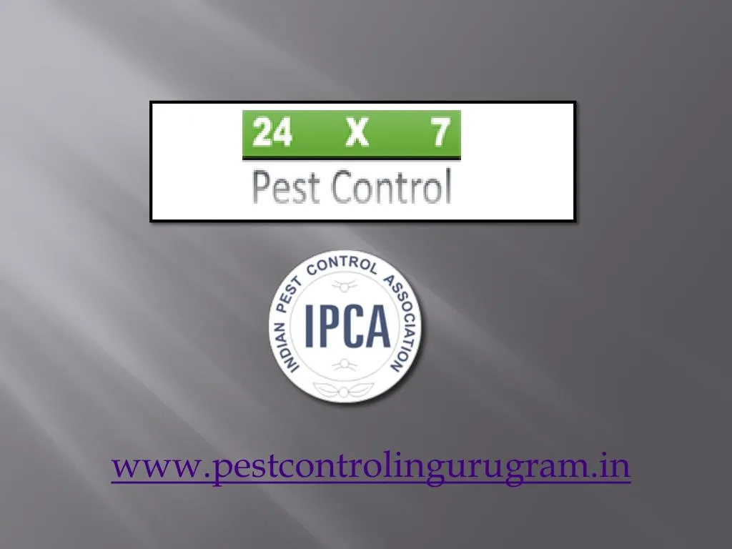 www pestcontrolingurugram in