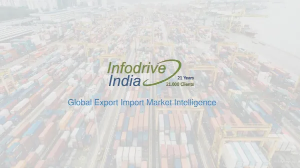 Infodrive India Import Export Leading Company