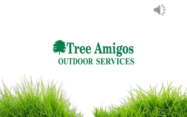 Landscape Design Companies - Tree Amigos Outdoor Services