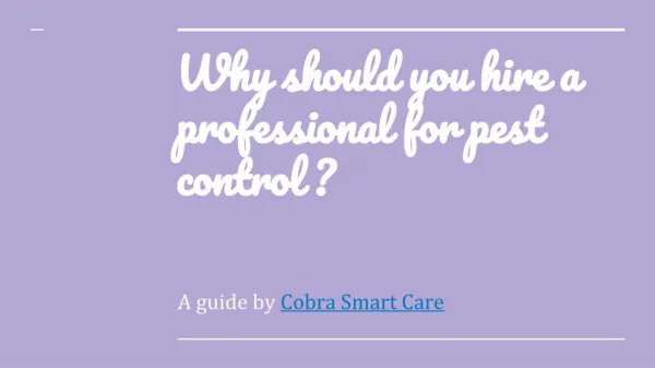 Why should you hire a professional for pest control - cobra smart care